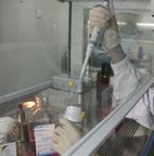 基因測序技術服務 價格解析與優質廠家選擇指南