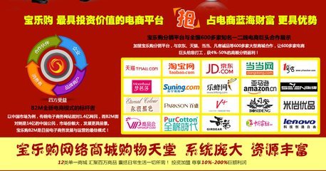 寶樂購網絡技術服務 企業數字化升級的可靠伙伴